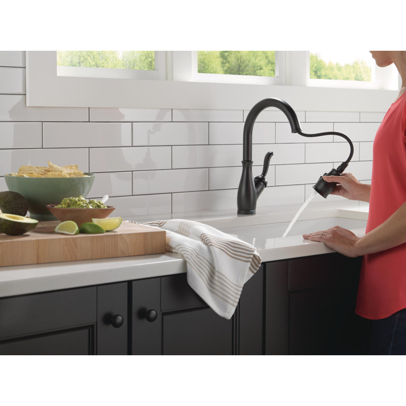 9178TSPDST,RBDST,ARDST Delta Leland Pull Down Sprayer Touch Kitchen